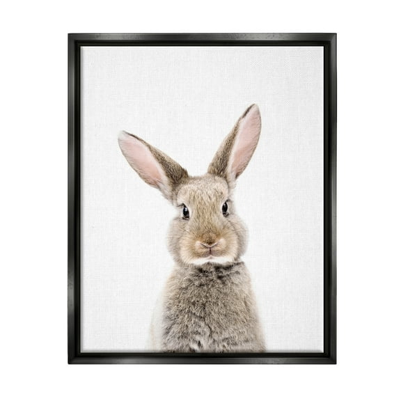 Stupell Industries Rabbit Face Portrait Animals & Insects Painting Black Floater Framed Art Print Wall Art, 17 x 21