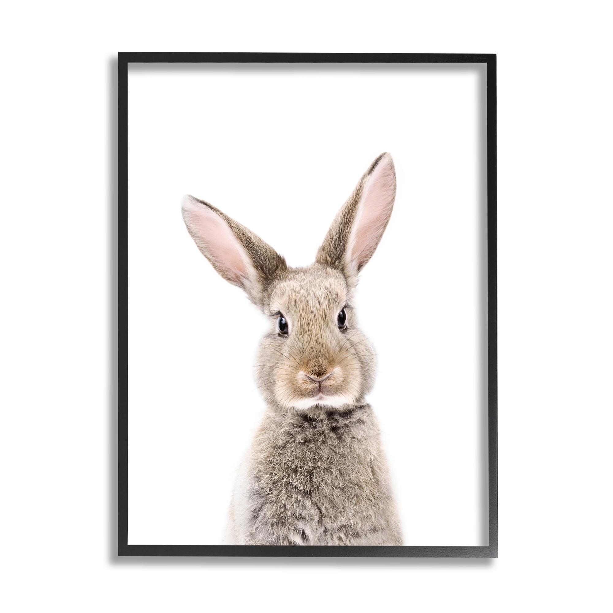 Stupell Industries Rabbit Face Portrait Animals & Insects Painting Black Framed Art Print Wall Art, 11 x 14