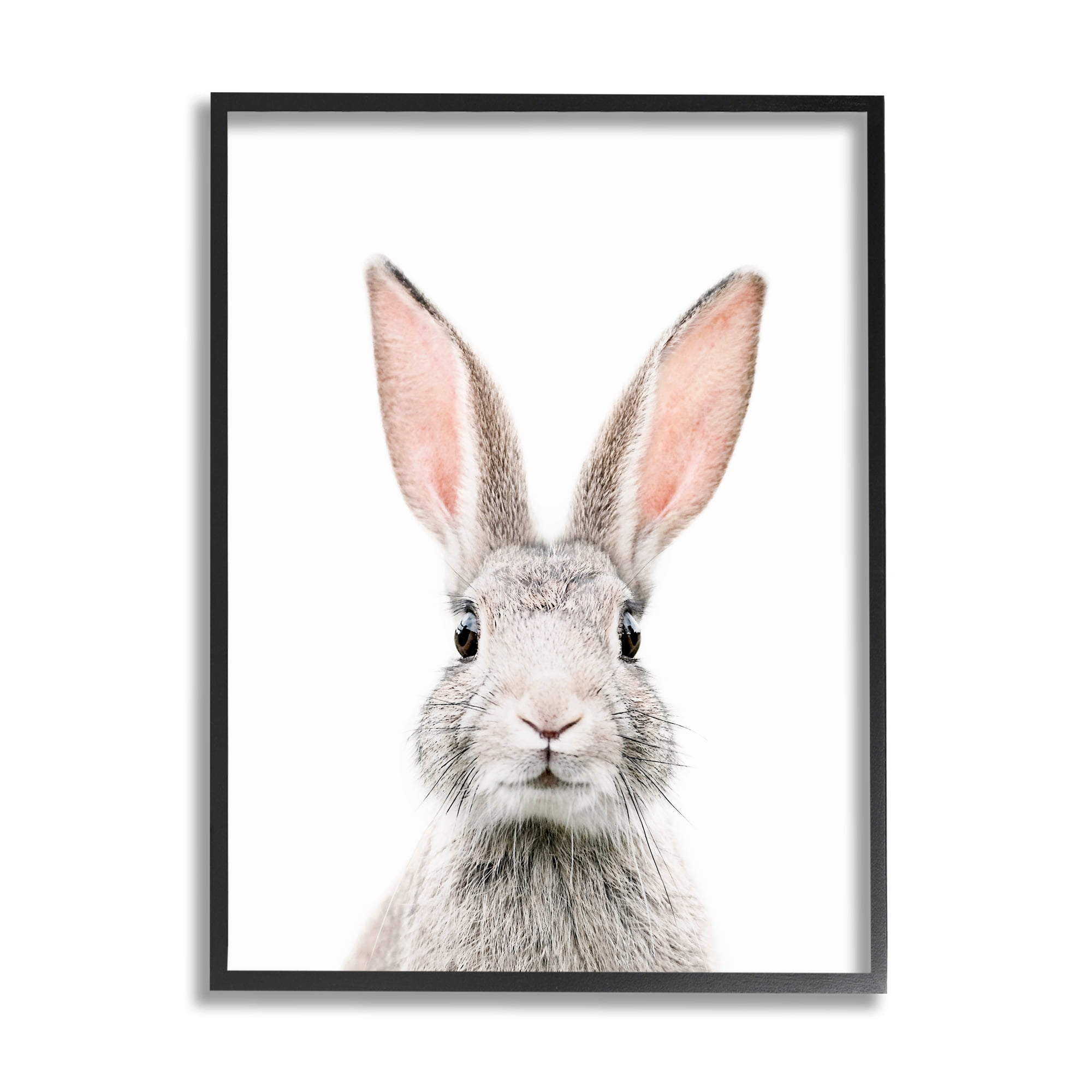 Stupell Industries Rabbit Face Portrait Animals & Insects Painting Black Framed Art Print Wall Art, 16 x 20