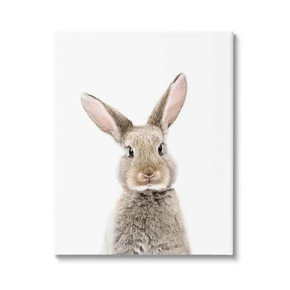 Stupell Industries Rabbit Face Portrait Animals & Insects Painting Gallery Wrapped Canvas Print Wall Art, 16 x 20