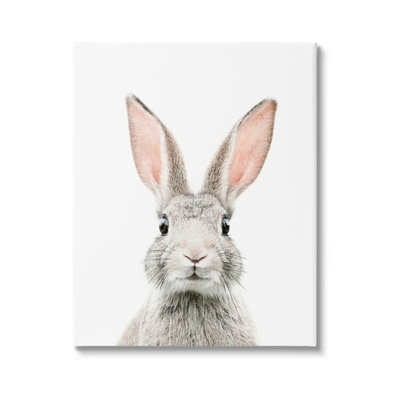 Stupell Industries Rabbit Face Portrait Animals & Insects Painting Gallery Wrapped Canvas Print Wall Art, 16 x 20