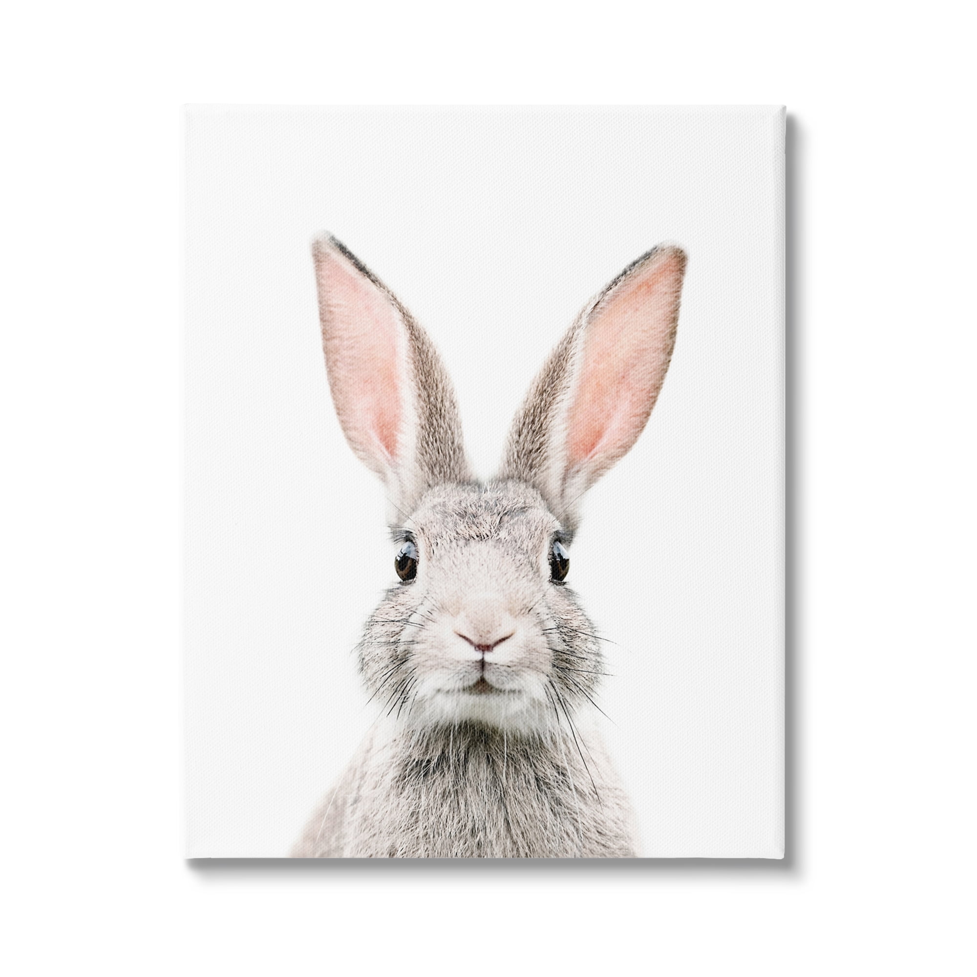 Stupell Industries Rabbit Face Portrait Animals & Insects Painting Gallery Wrapped Canvas Print Wall Art, 24 x 30