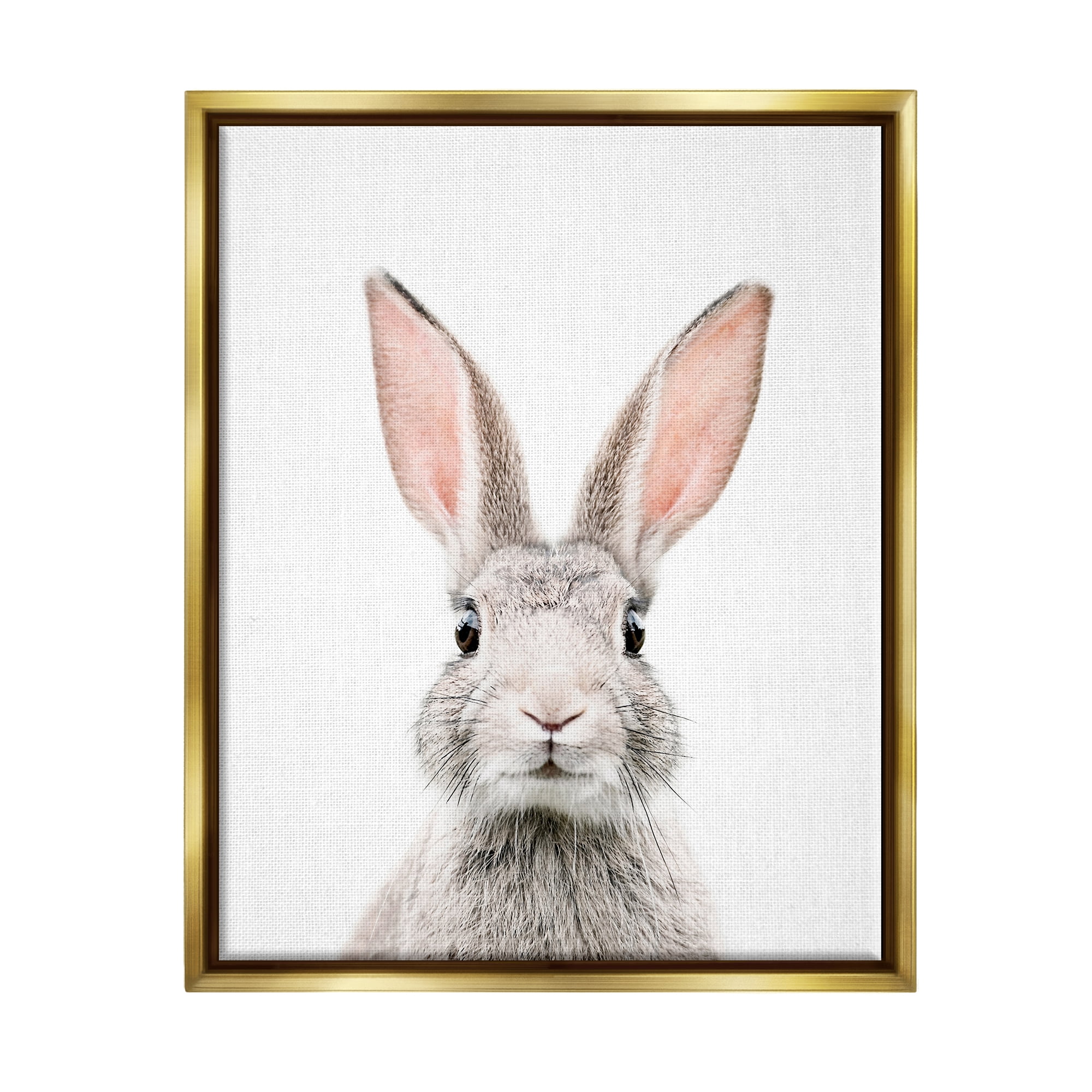 Stupell Industries Rabbit Face Portrait Animals & Insects Painting Gold Floater Framed Art Print Wall Art, 17 x 21