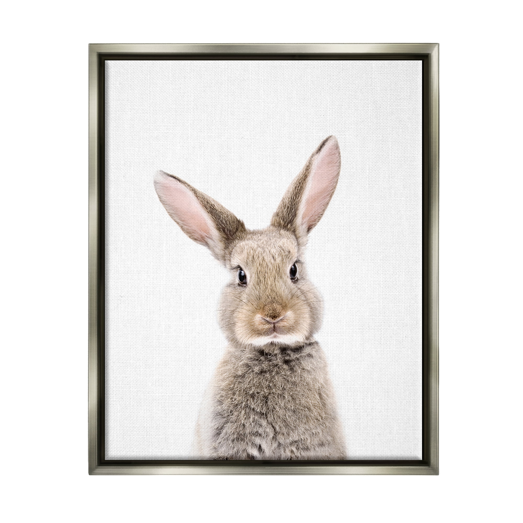 Stupell Industries Rabbit Face Portrait Animals & Insects Painting Gray Floater Framed Art Print Wall Art, 17 x 21