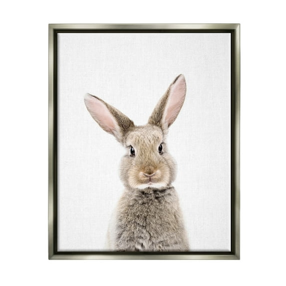 Stupell Industries Rabbit Face Portrait Animals & Insects Painting Gray Floater Framed Art Print Wall Art, 25 x 31