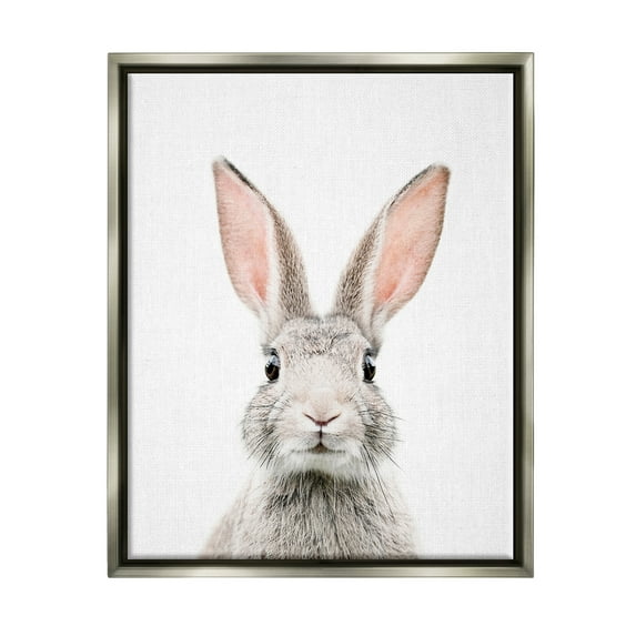 Stupell Industries Rabbit Face Portrait Animals & Insects Painting Gray Floater Framed Art Print Wall Art, 25 x 31