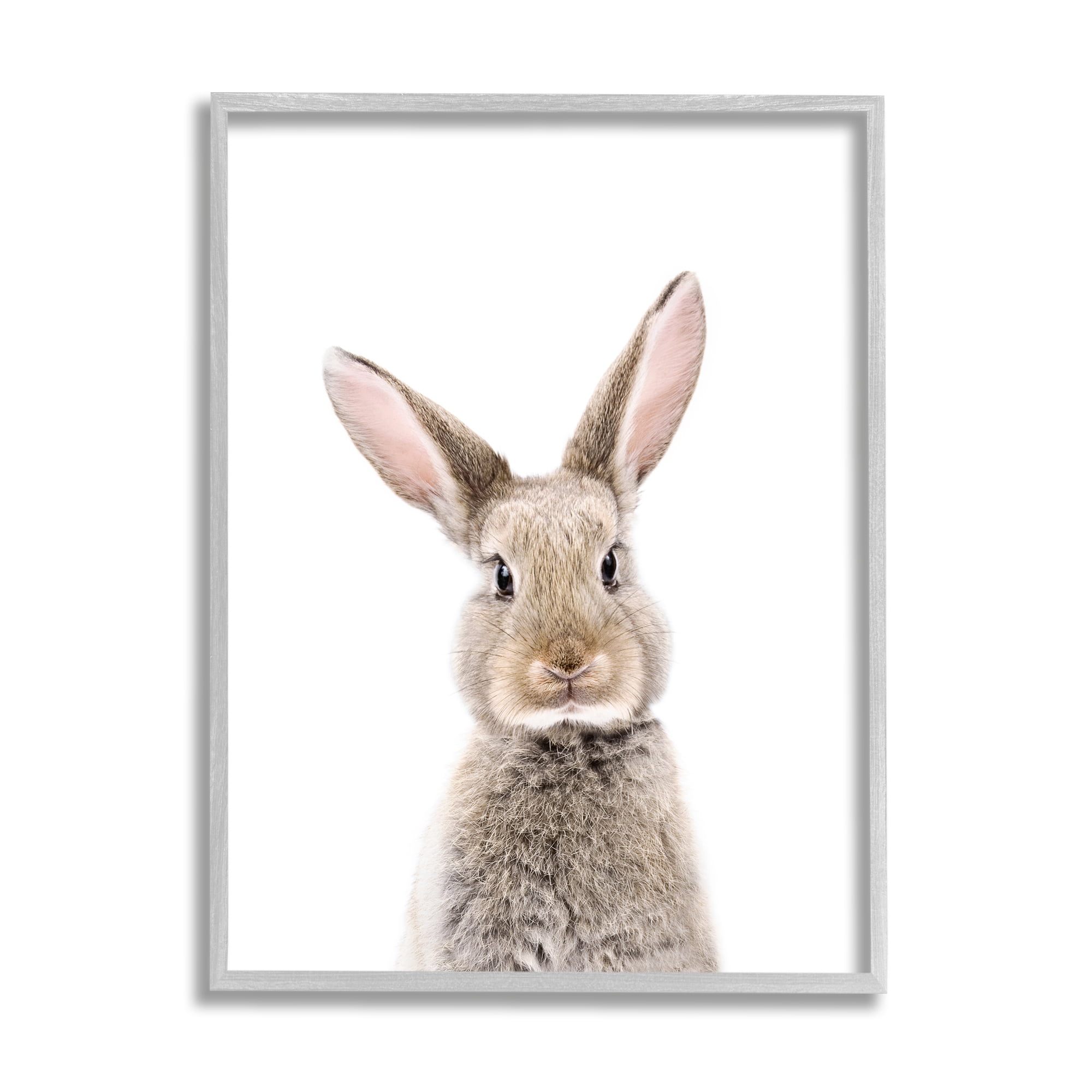 Stupell Industries Rabbit Face Portrait Animals & Insects Painting Gray Framed Art Print Wall Art, 11 x 14