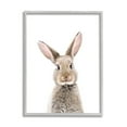 thumbnail image 1 of Stupell Industries Rabbit Face Portrait Animals & Insects Painting Gray Framed Art Print Wall Art, 16 x 20, 1 of 8