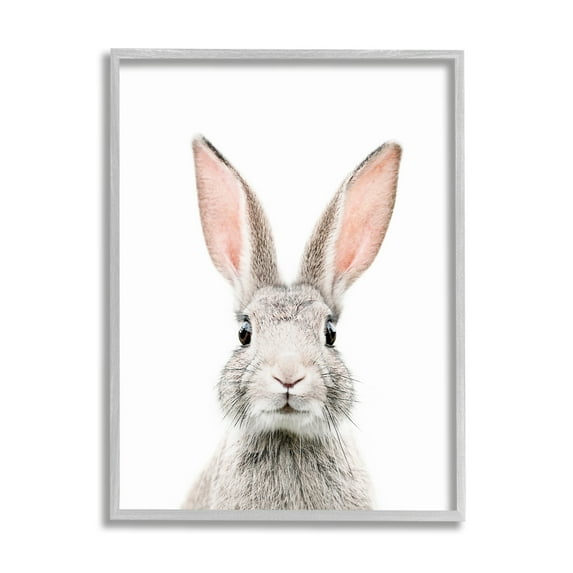 Stupell Industries Rabbit Face Portrait Animals & Insects Painting Gray Framed Art Print Wall Art, 16 x 20