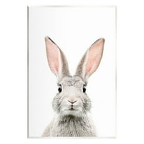 Stupell Industries Rabbit Face Portrait Animals & Insects Painting Unframed Art Print Wall Art, 10 x 15