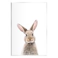 thumbnail image 1 of Stupell Industries Rabbit Face Portrait Animals & Insects Painting Unframed Art Print Wall Art, 10 x 15, 1 of 6