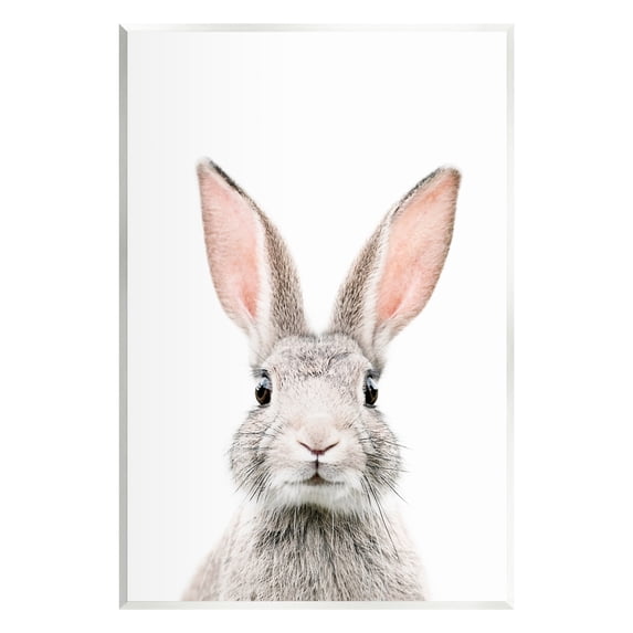 Stupell Industries Rabbit Face Portrait Animals & Insects Painting Unframed Art Print Wall Art, 13 x 19