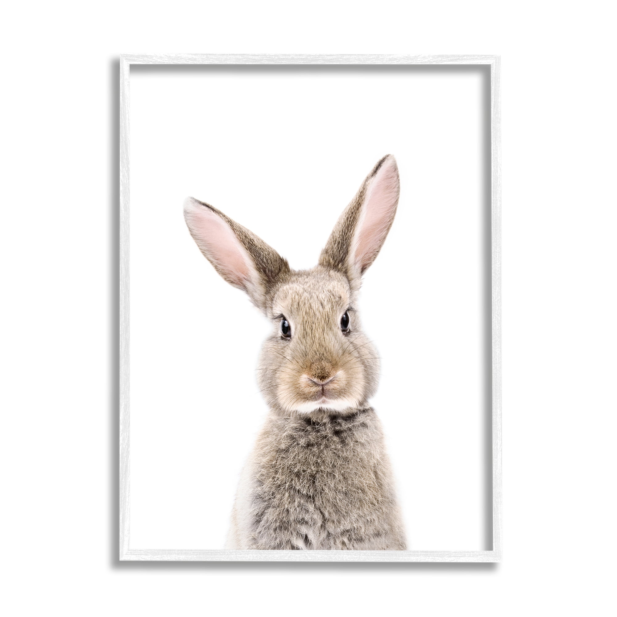 Stupell Industries Rabbit Face Portrait Animals & Insects Painting White Framed Art Print Wall Art, 16 x 20