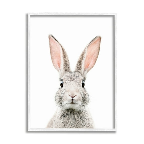 Stupell Industries Rabbit Face Portrait Animals & Insects Painting White Framed Art Print Wall Art, 16 x 20