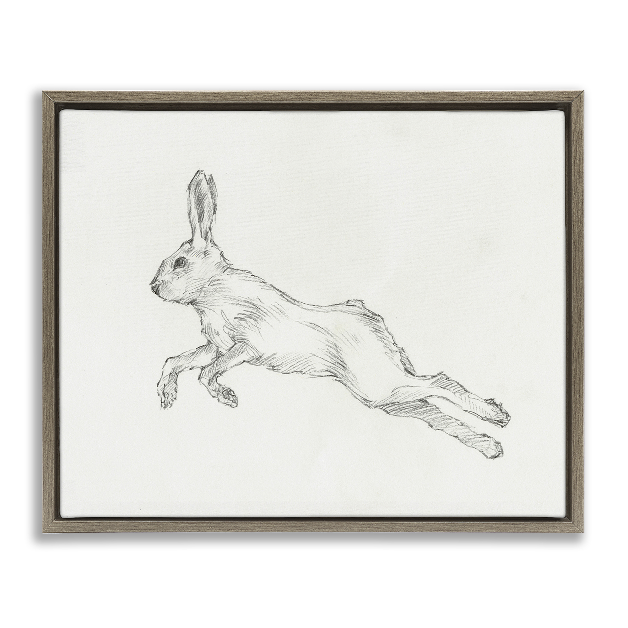 Stupell Industries Rabbit Hopping Sketch Animals & Insects Drawing Brown Floater Framed Canvas Art Print Wall Art, 31 x 25