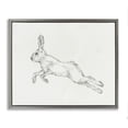 thumbnail image 1 of Stupell Industries Transitional Rabbit Hopping Sketch Gray Floating Frame Canvas Art, 21 x 17, by Ethan Harper, 1 of 8