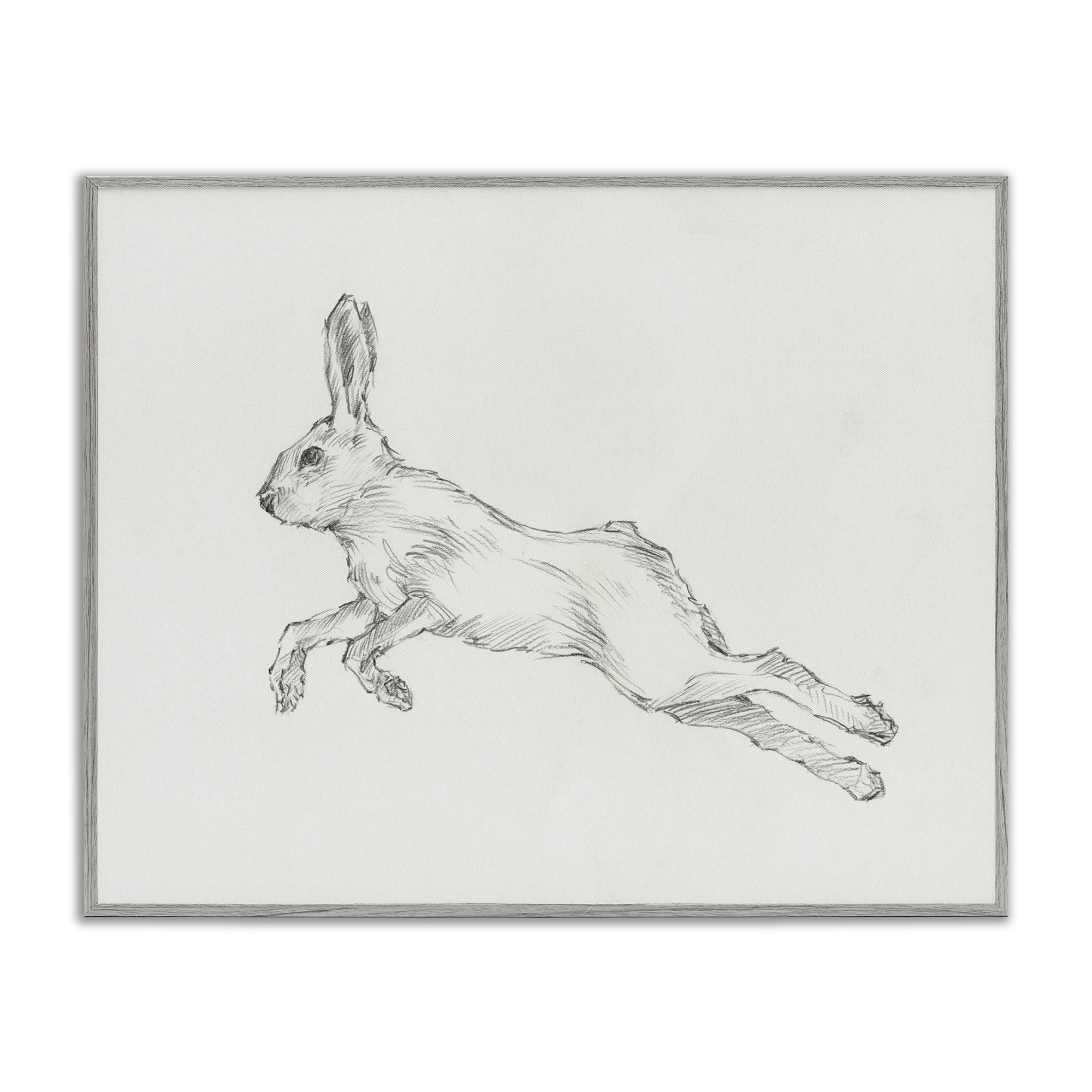 Stupell Industries Rabbit Hopping Sketch Animals & Insects Drawing Gray Framed Art Print Wall Art, 14 x 11