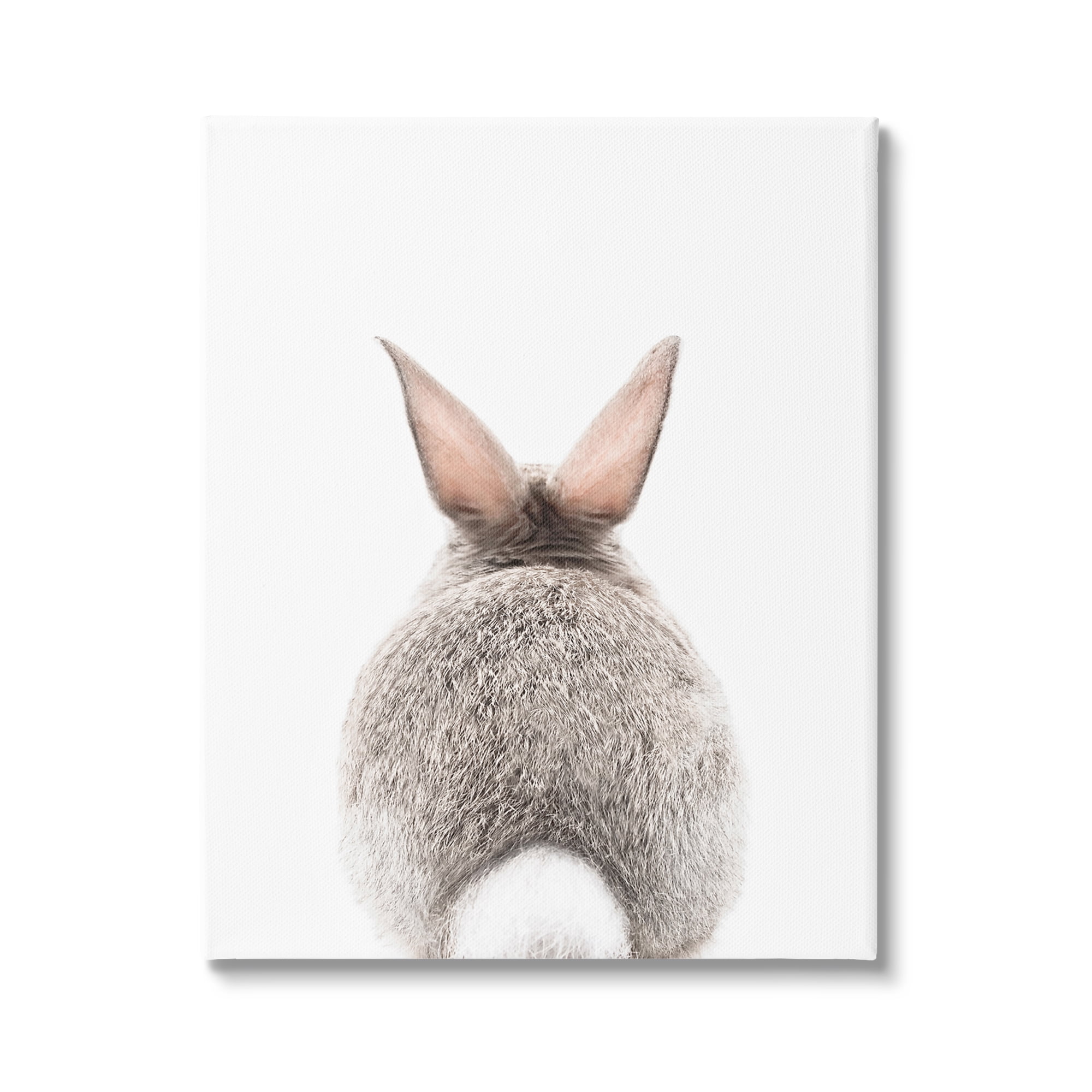 Stupell Industries Rabbit Tail on White Animals & Insects Painting Gallery Wrapped Canvas Print Wall Art, 24 x 30