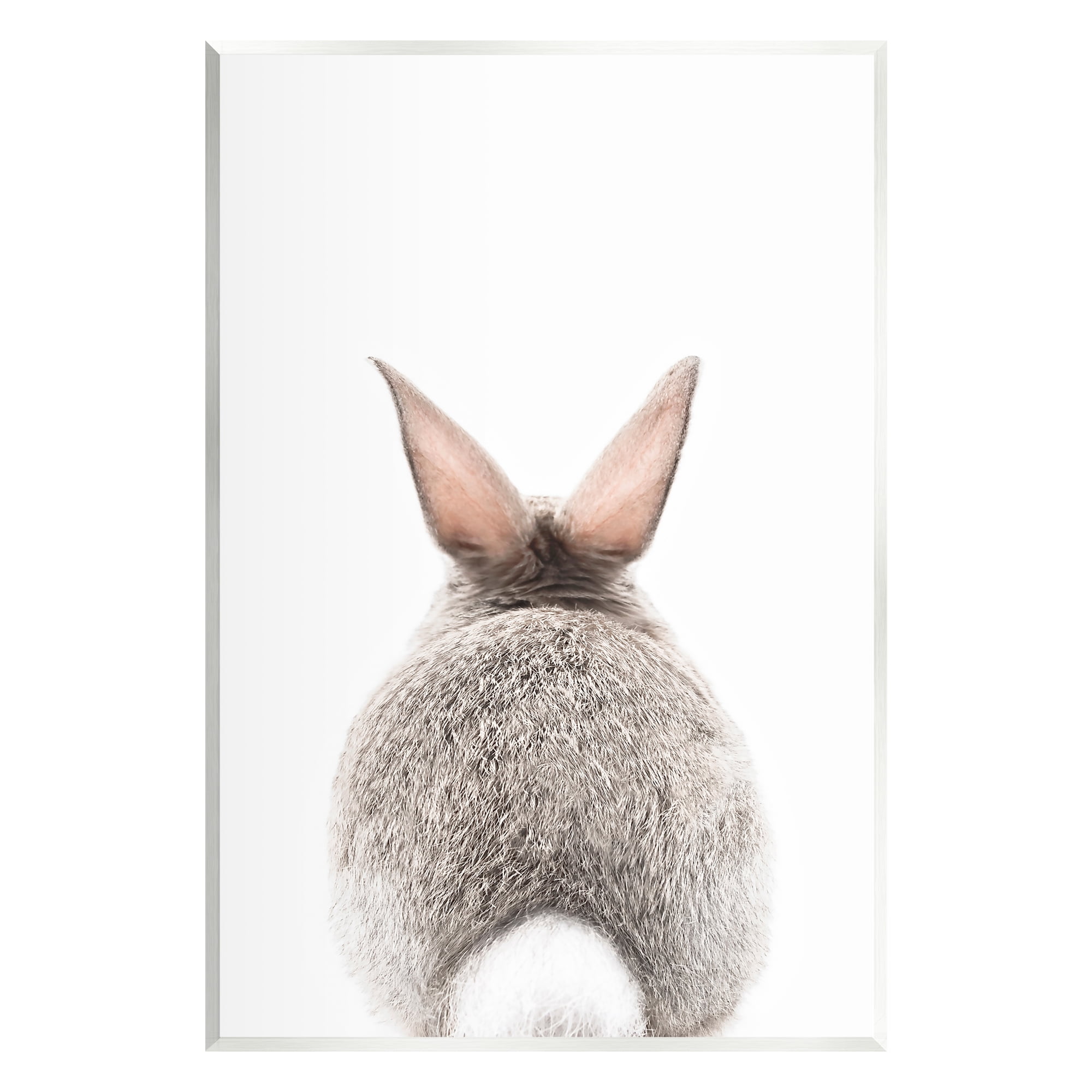 Stupell Industries Rabbit Tail on White Animals & Insects Painting Unframed Art Print Wall Art, 10 x 15