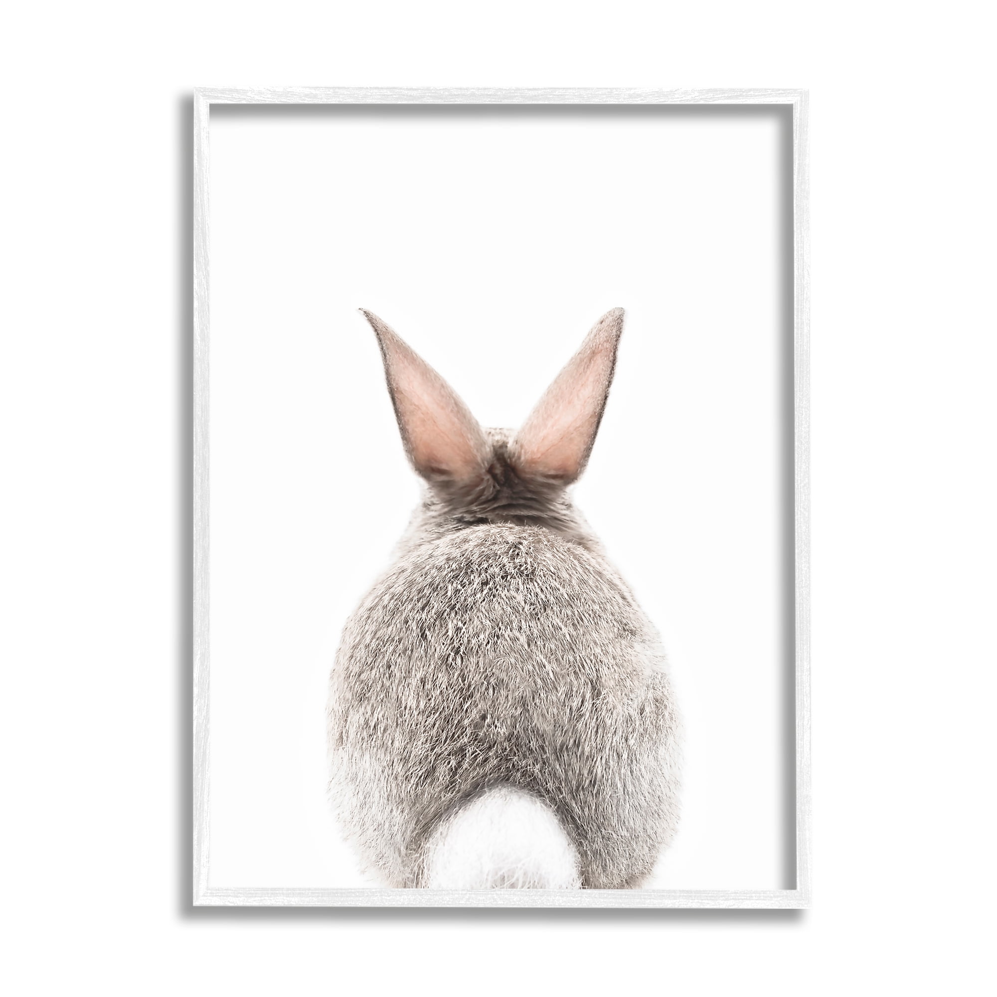 Stupell Industries Rabbit Tail on White Animals & Insects Painting White Framed Art Print Wall Art, 11 x 14