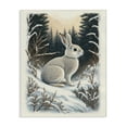 thumbnail image 1 of Stupell Industries Rabbit in Winter Forest Animals & Insects Painting Gallery Wrapped Canvas Art Print Wall Art, 24 x 30, 1 of 8