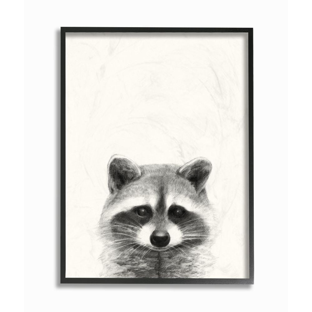 Stupell Industries Raccoon Portrait Grey Drawing Design Framed Wall Art by Victoria Borges