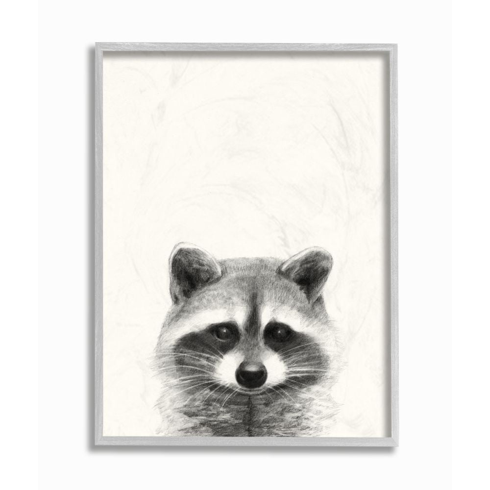 Stupell Industries Raccoon Portrait Grey Drawing Design Framed Wall Art by Victoria Borges
