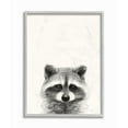 thumbnail image 1 of Stupell Industries Raccoon Portrait Grey Drawing Design Framed Wall Art by Victoria Borges, 1 of 6
