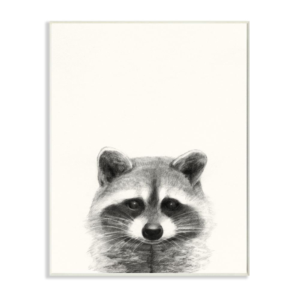 Stupell Industries Raccoon Portrait Grey Drawing Design Wall Plaque by Victoria Borges