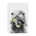 thumbnail image 1 of Stupell Industries Modern Raccoon Spa Day Canvas Art, 16 x 24, by Annalisa Latella, 1 of 8