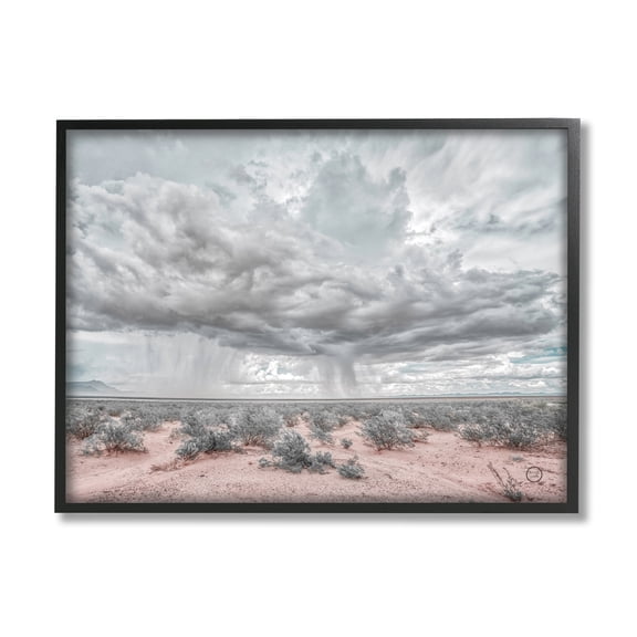 Stupell Industries Rain Cloud Desert Landscape Outdoor Brush Storm Weather, 20 x 16, Design by Nathan Larson
