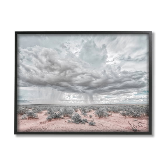 Stupell Industries Rain Cloud Desert Landscape Outdoor Brush Storm Weather, 30 x 24, Design by Nathan Larson