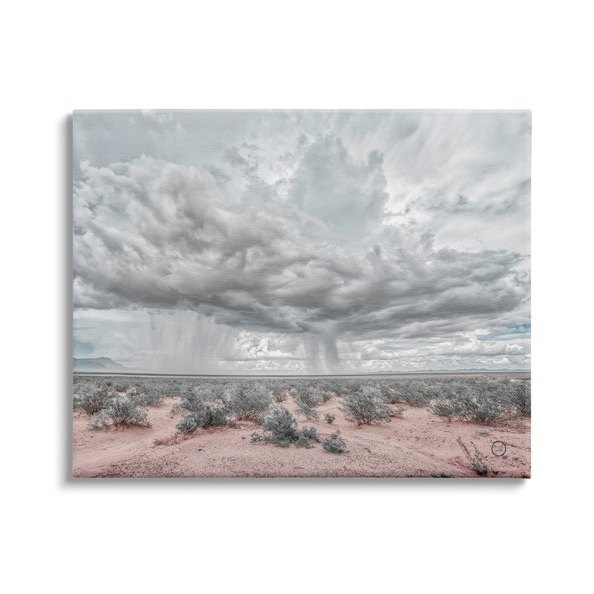 Stupell Industries Rain Cloud Desert Landscape Outdoor Brush Storm Weather, 30 x 24, Design by Nathan Larson