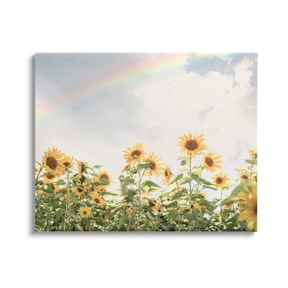 Stupell Industries Rainbow over Sunflowers Botanical & Floral Photography Gallery Wrapped Canvas Print Wall Art, 20 x 16