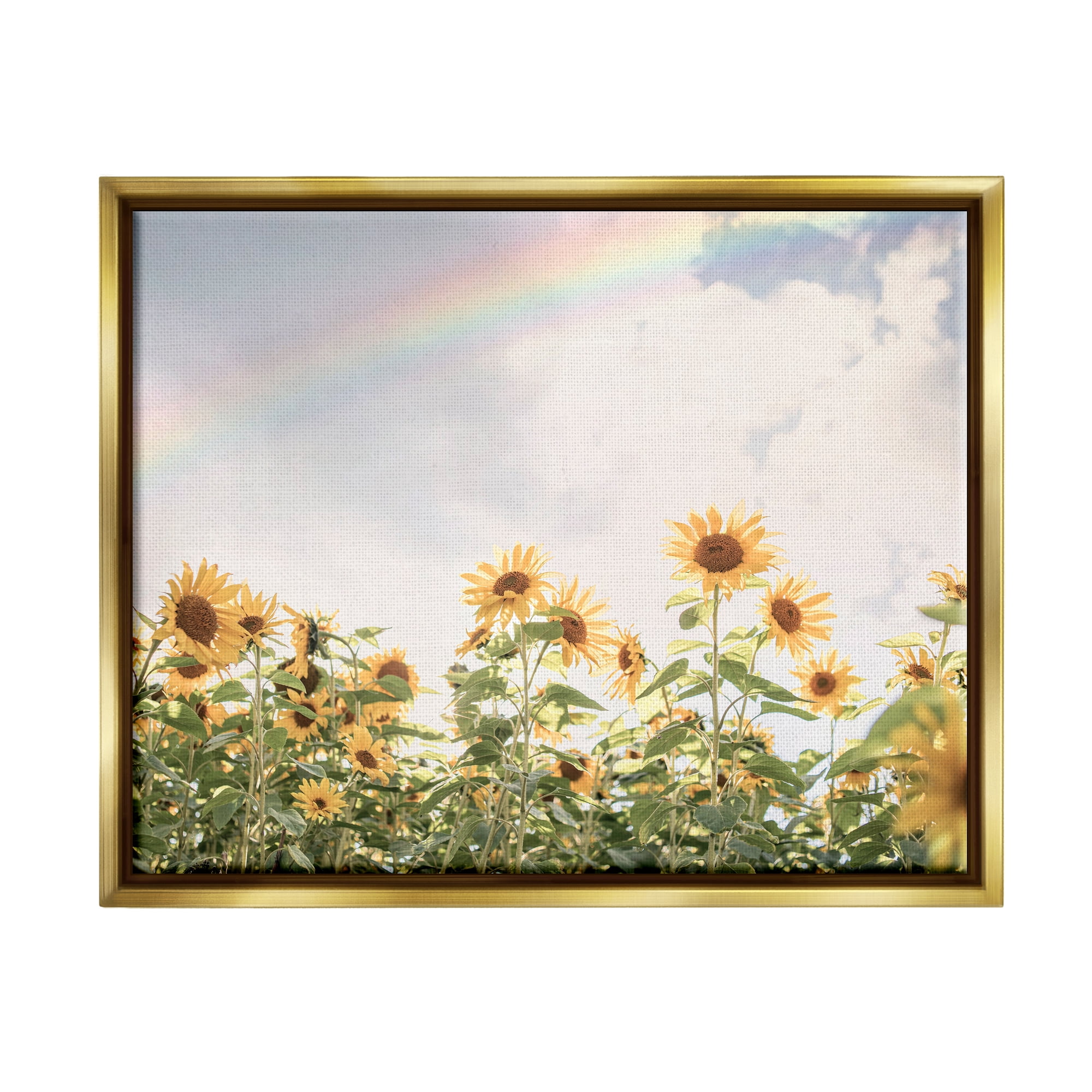 Stupell Industries Rainbow over Sunflowers Botanical & Floral Photography Gold Floater Framed Art Print Wall Art, 31 x 25