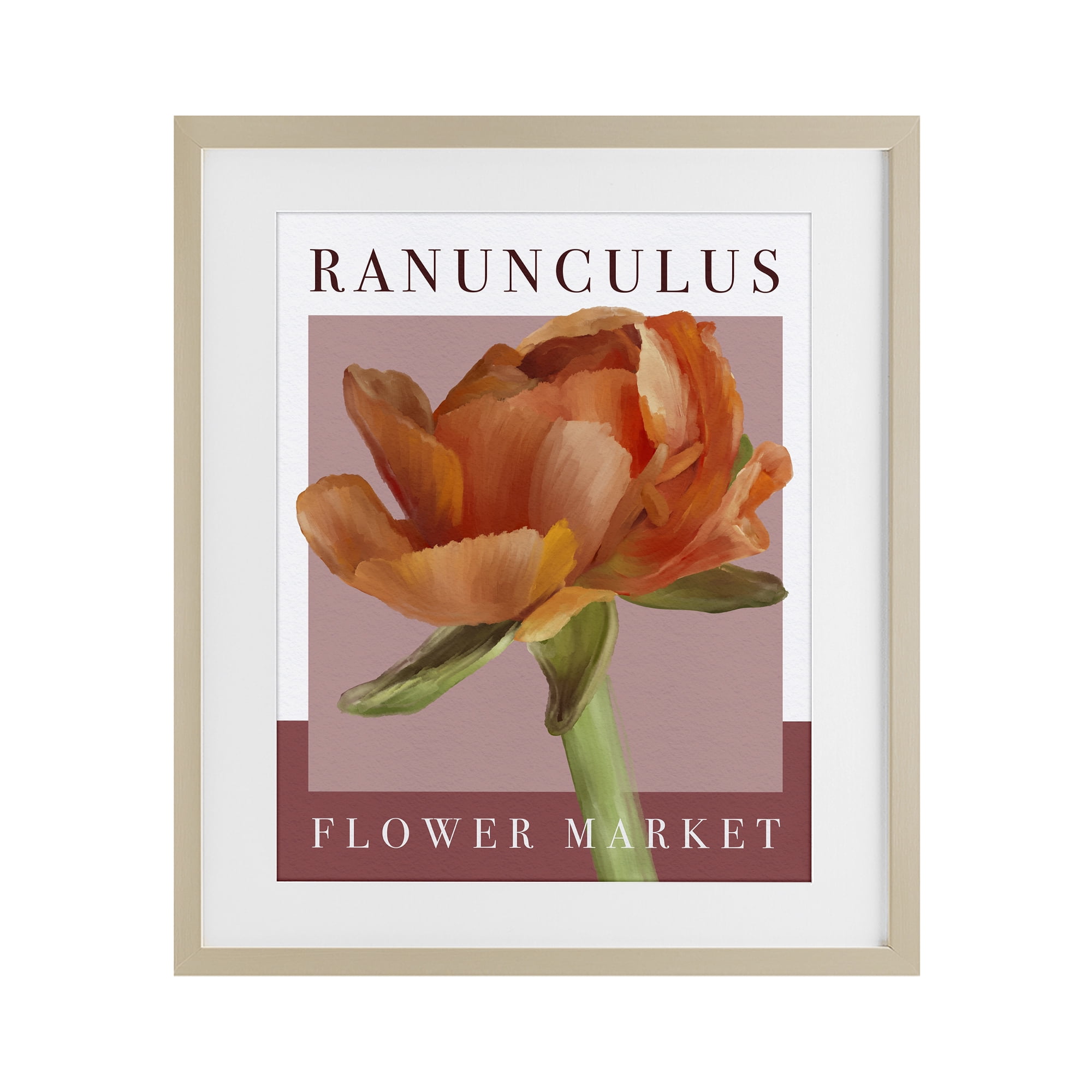 Stupell Industries Ranunculus Flower Market Birch Framed Print Under Glass, design by Jennifer Stith