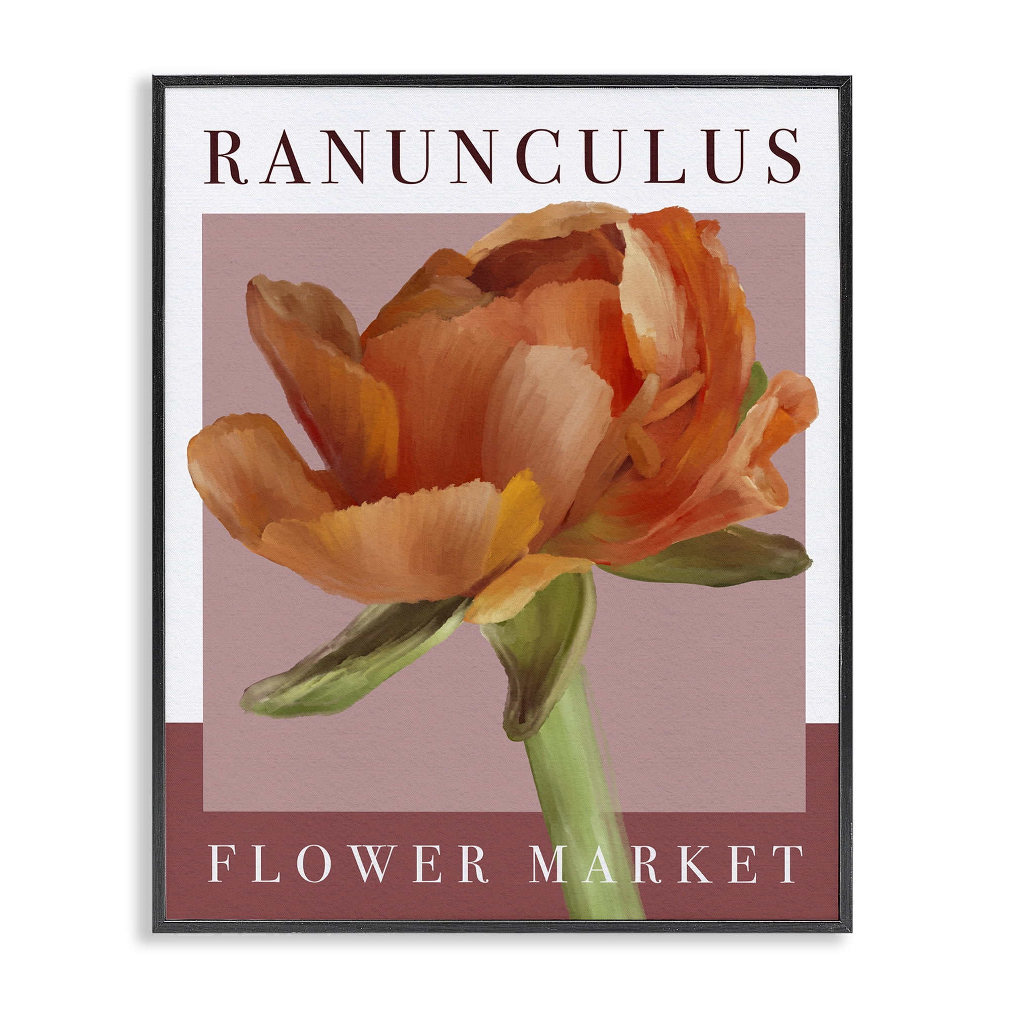 Stupell Industries Ranunculus Flower Market Black Framed Giclee Art, design by Jennifer Stith