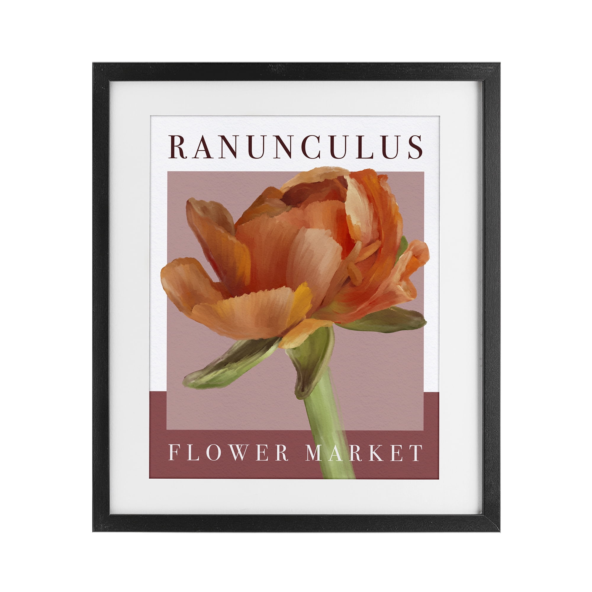 Stupell Industries Ranunculus Flower Market Black Framed Print Under Glass, design by Jennifer Stith