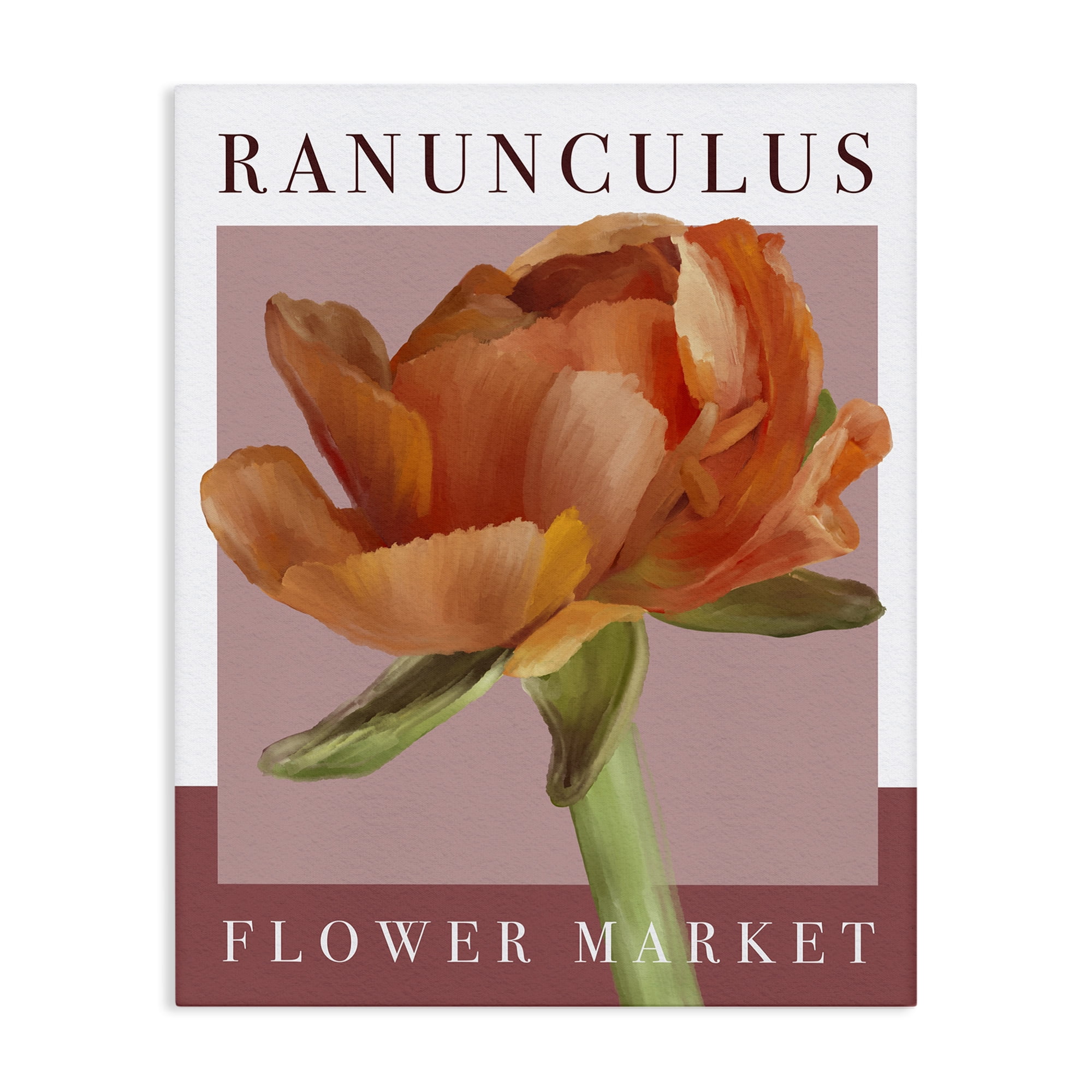 Stupell Industries Ranunculus Flower Market Canvas Wall Art, design by Jennifer Stith