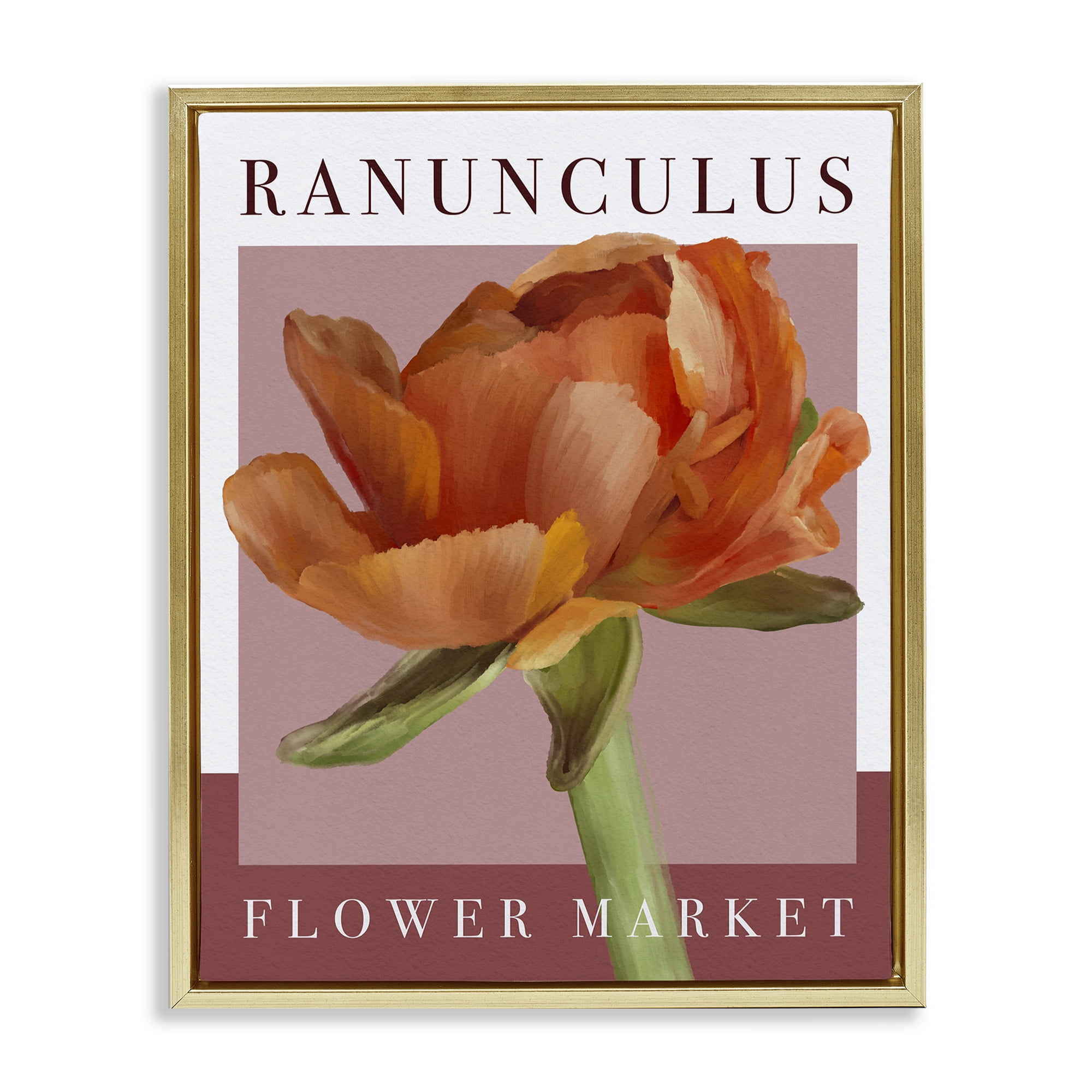 Stupell Industries Ranunculus Flower Market Gold Framed Floater Canvas Wall Art, design by Jennifer Stith