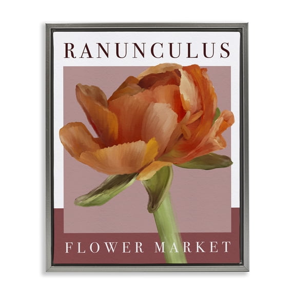 Stupell Industries Traditional Ranunculus Flower Market Gray Floating Frame Canvas Art, 25 x 31, by Jennifer Stith