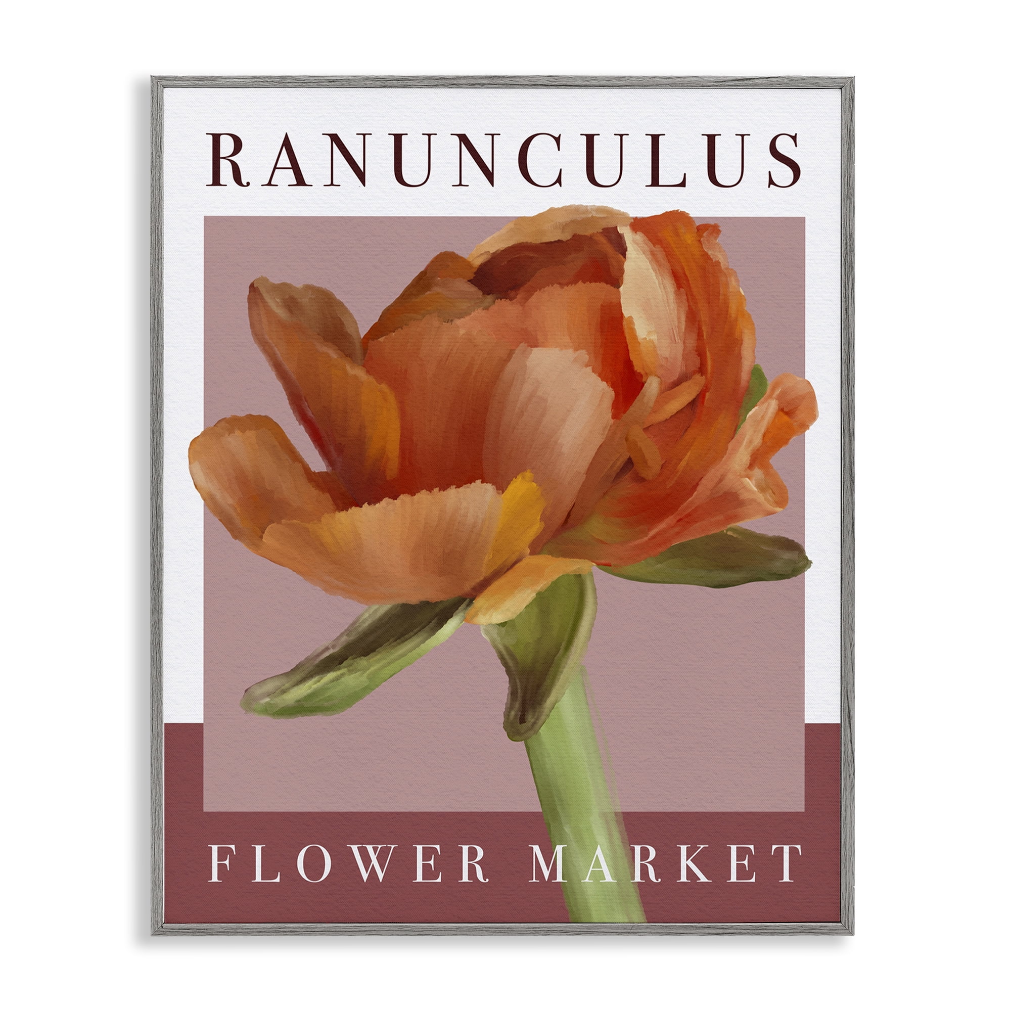 Stupell Industries Ranunculus Flower Market Gray Framed Giclee Art, design by Jennifer Stith