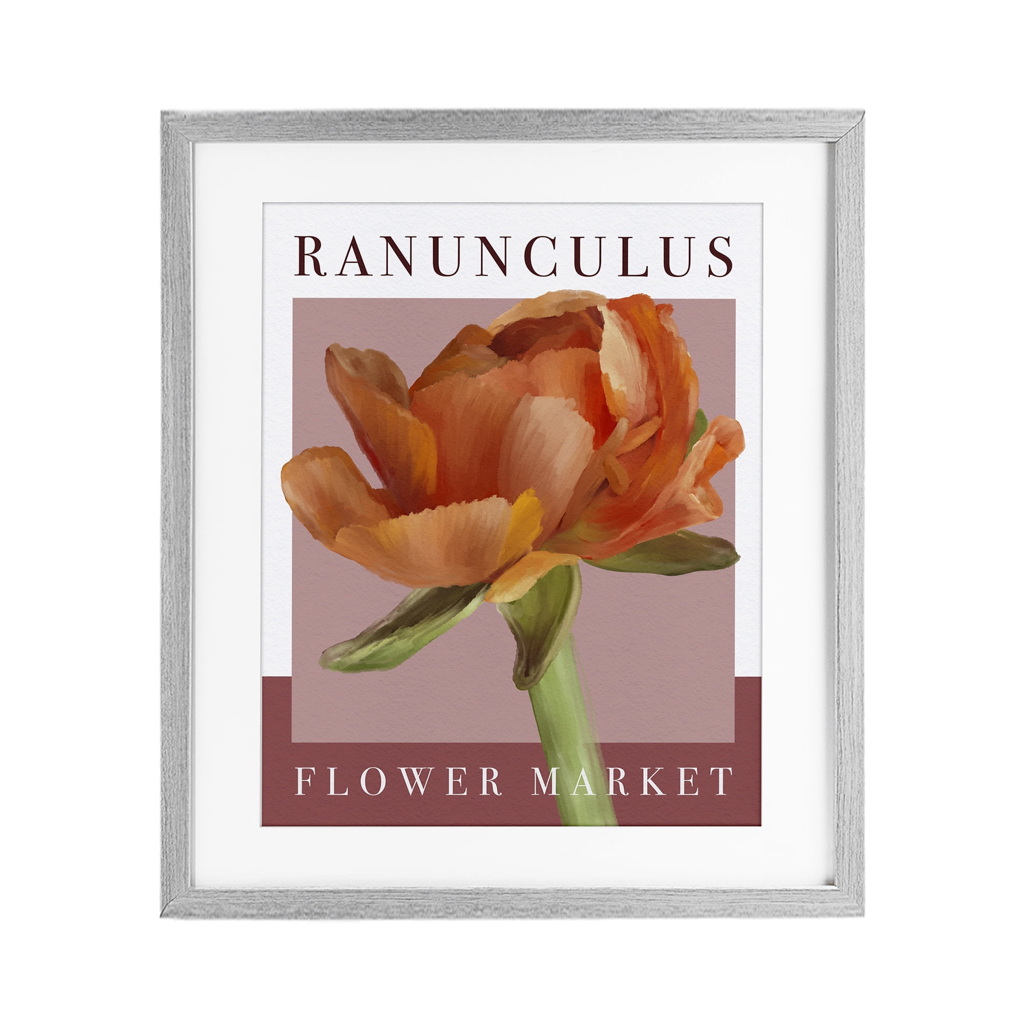 Stupell Industries Ranunculus Flower Market Gray Framed Print Under Glass, design by Jennifer Stith
