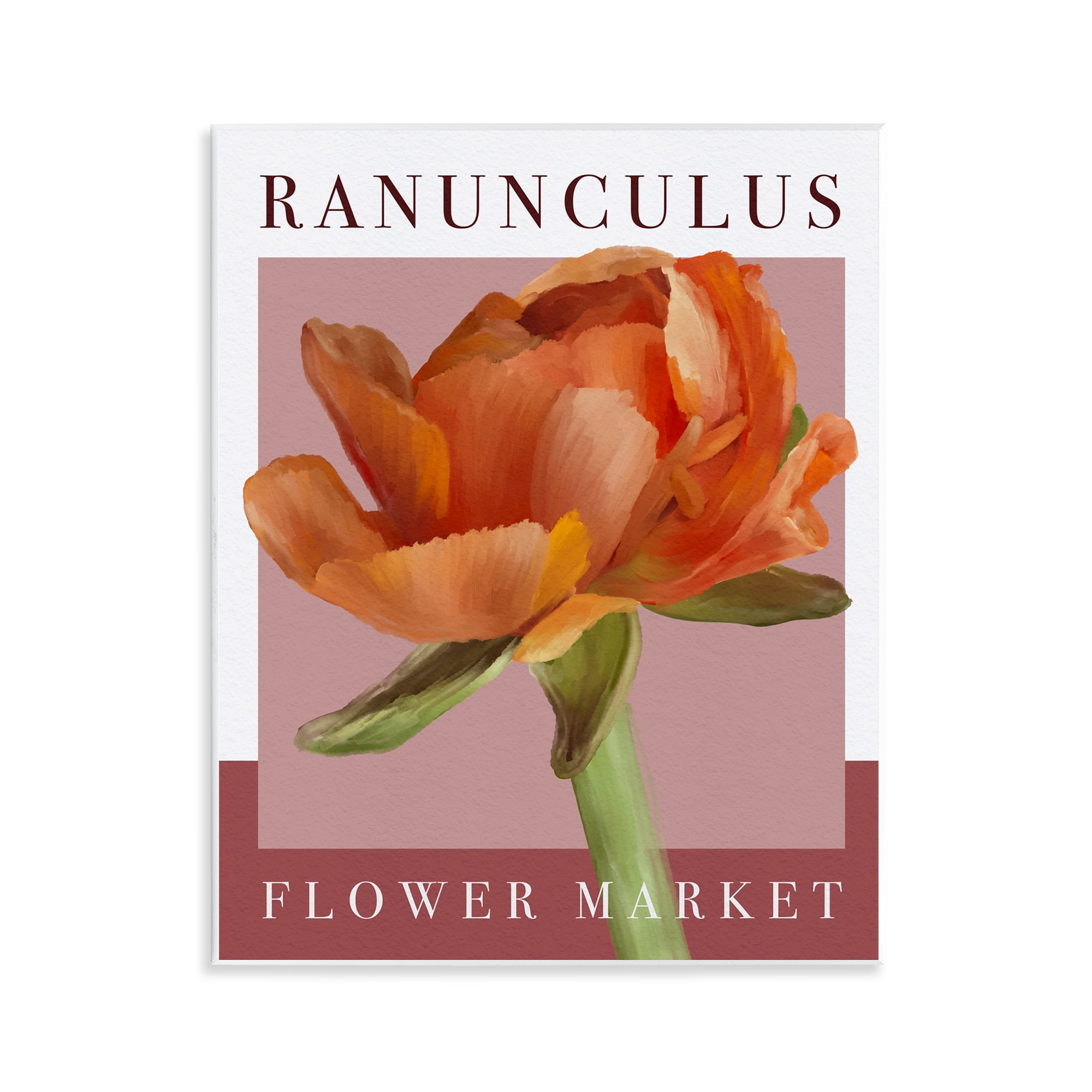 Stupell Industries Ranunculus Flower Market Wall Plaque Art, design by Jennifer Stith