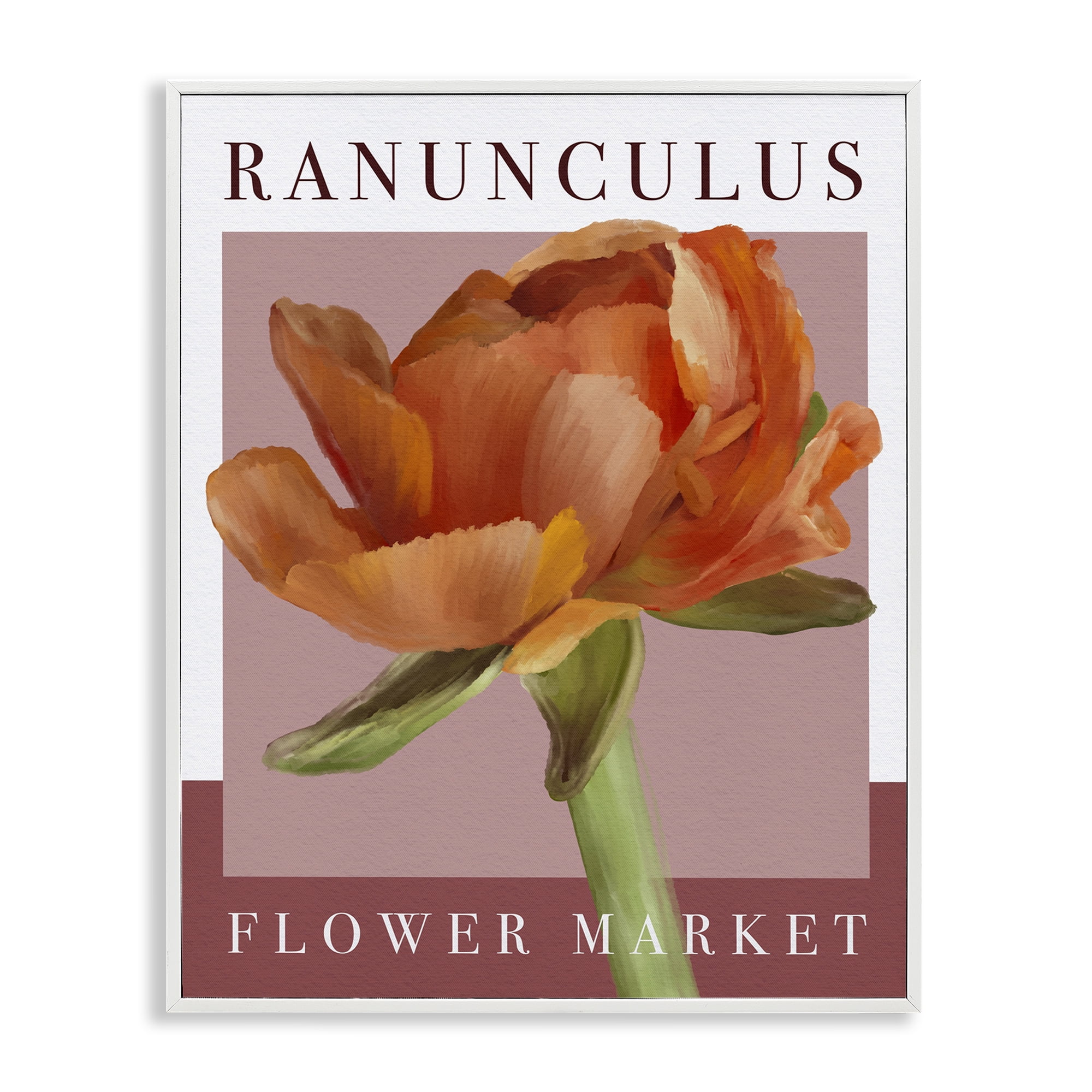 Stupell Industries Ranunculus Flower Market White Framed Giclee Art, design by Jennifer Stith