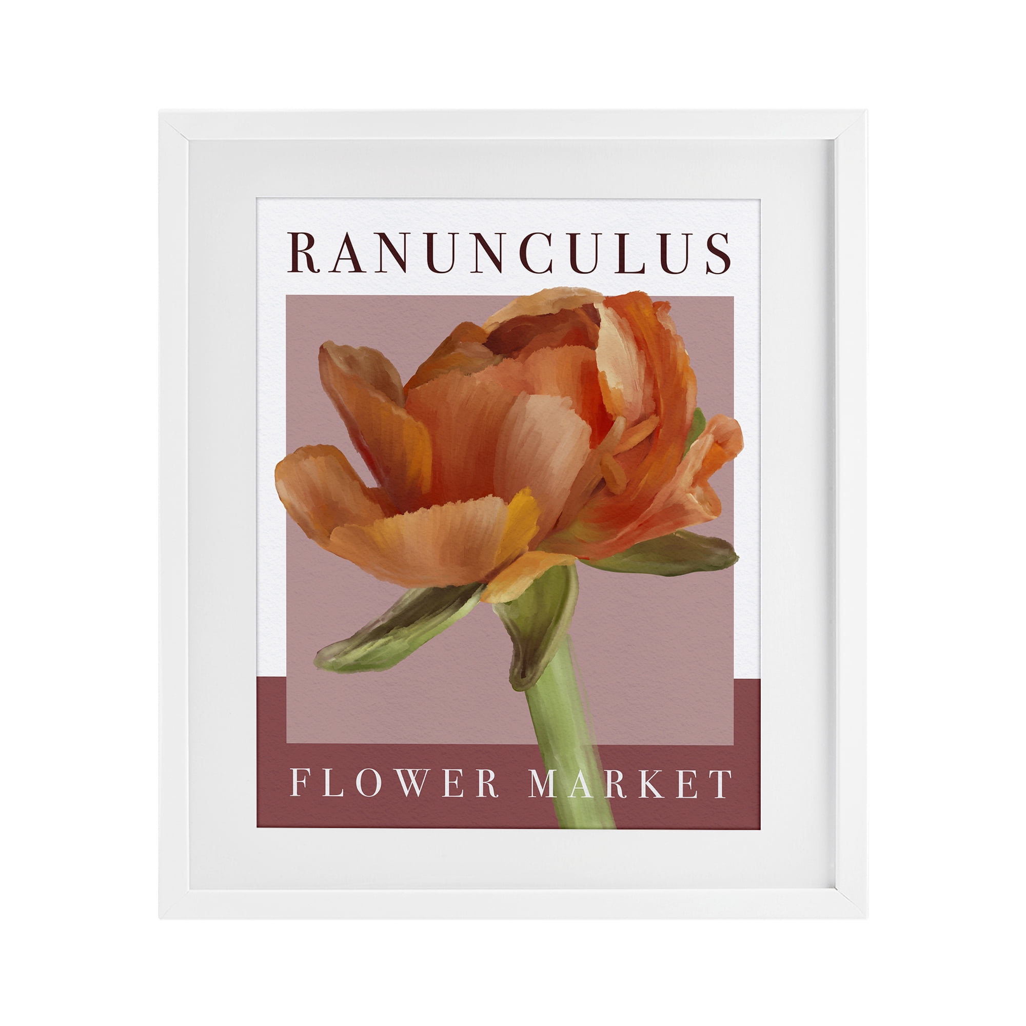 Stupell Industries Ranunculus Flower Market White Framed Print Under Glass, design by Jennifer Stith