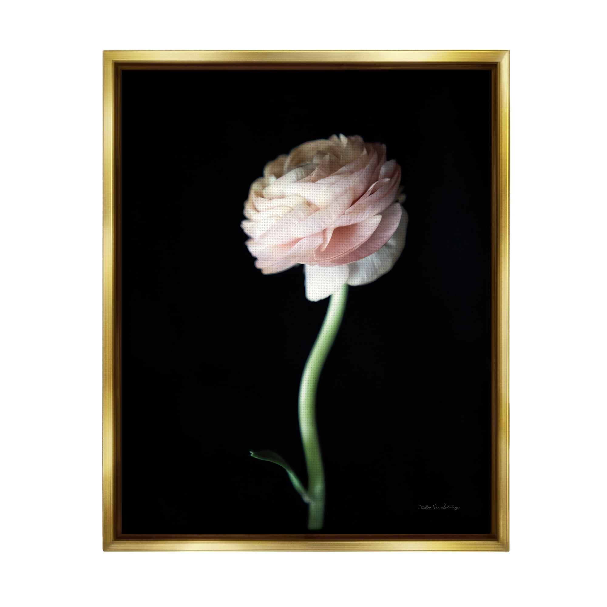 Stupell Industries Ranunculus Flower Photography Botanical & Floral Photography Gold Floater Framed Art Print Wall Art, 17 x 21