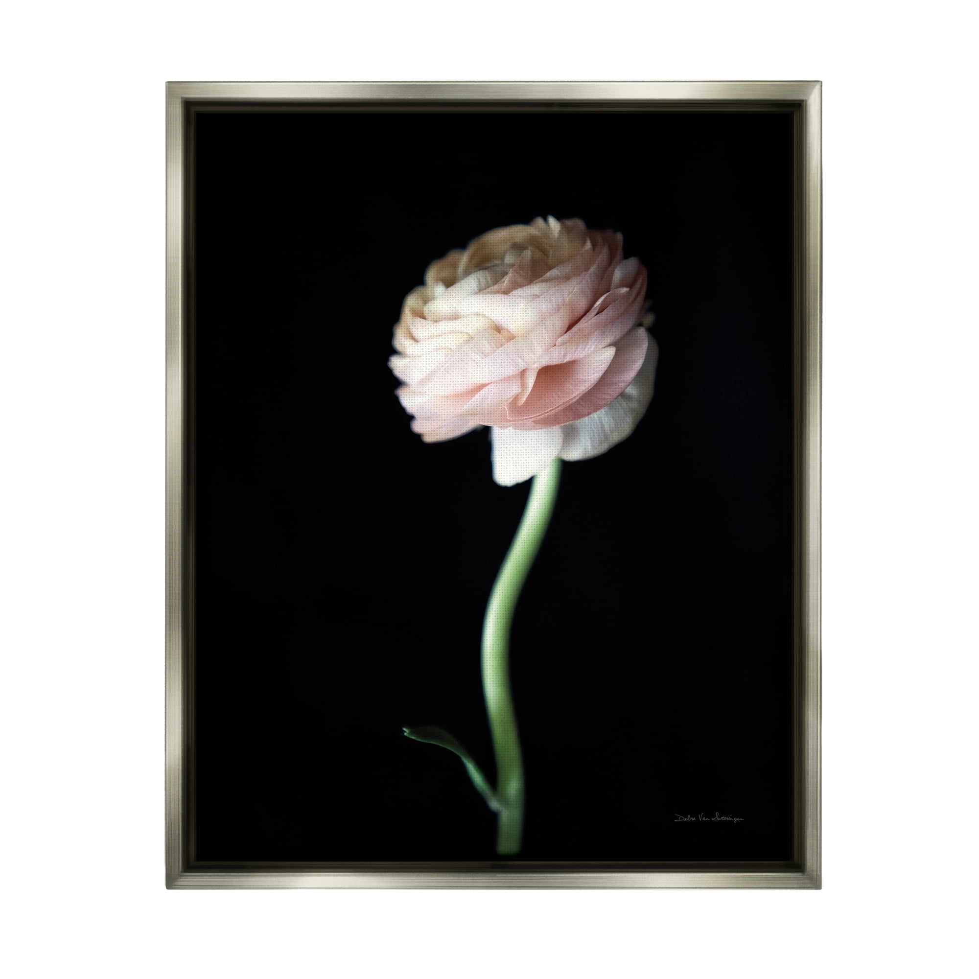 Stupell Industries Ranunculus Flower Photography Botanical & Floral Photography Gray Floater Framed Art Print Wall Art, 25 x 31