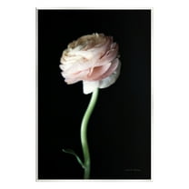 Stupell Industries Ranunculus Flower Photography Botanical & Floral Photography Unframed Art Print Wall Art, 10 x 15