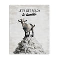 thumbnail image 1 of Stupell Industries Ready To Tumble Laundry Quotes and Sayings Painting Wrapped Canvas Canvas Art Print Wall Art, 24 x 30, 1 of 7